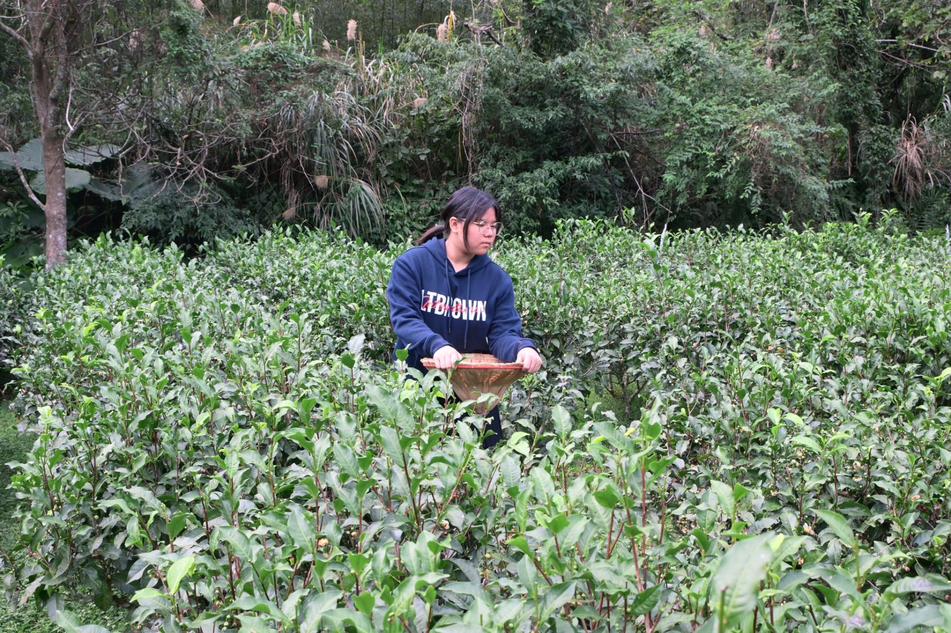 599379718_872495622387076_788704801643474628_n